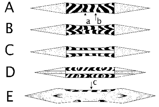 sword2.gif